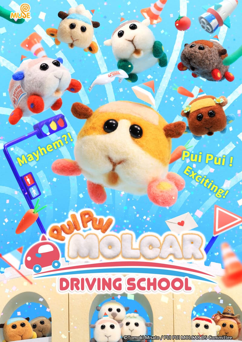 pui-pui-molcar-driving-school