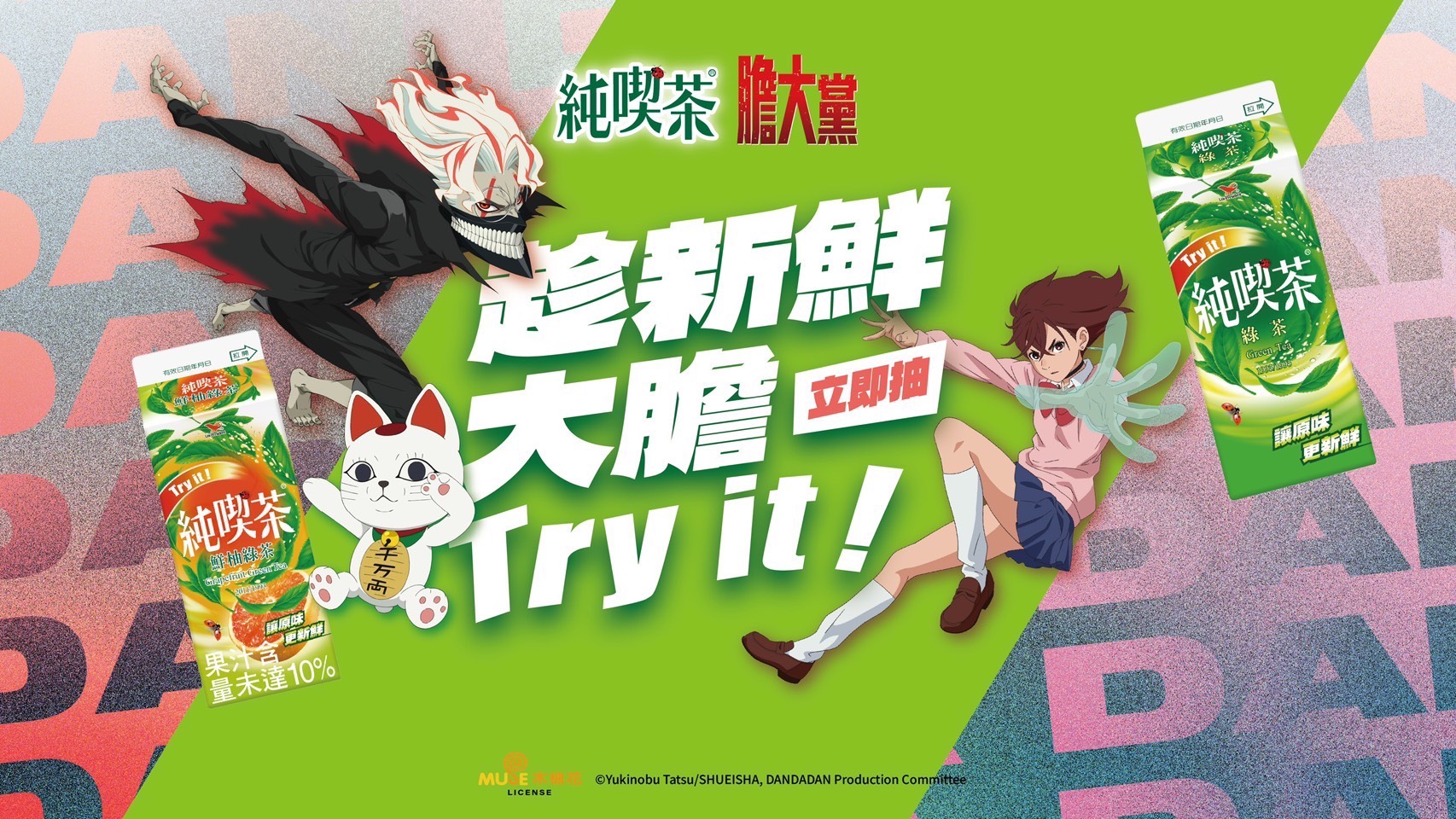 主視覺 D